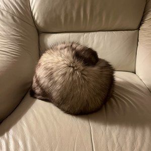 Woman's natural blue fox fur hat